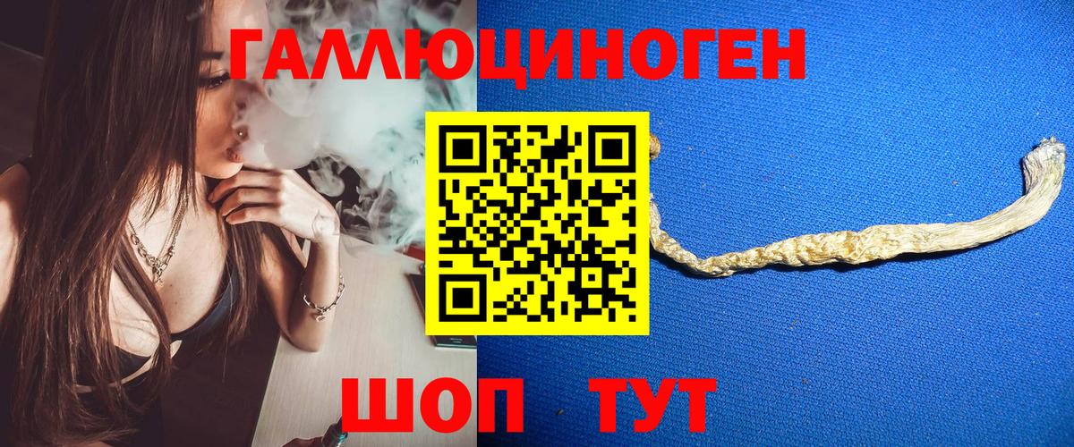 Псилоцибиновые грибы прущие грибы  дарнет шоп  Вход с VPN  Надым  Псилоцибиновые грибы GOLDEN TEACHER 